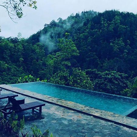 Jansen'S Bungalow Sinharaja Rainforest Retreat Kudawe Eksteriør bilde