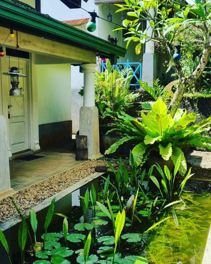 Jansen'S Bungalow Sinharaja Rainforest Retreat Kudawe Eksteriør bilde
