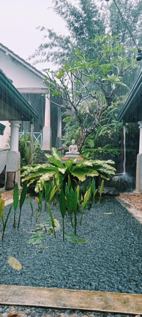 Jansen'S Bungalow Sinharaja Rainforest Retreat Kudawe Eksteriør bilde